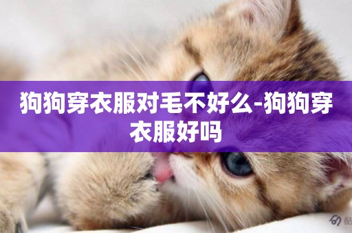 狗狗穿衣服對毛不好么-狗狗穿衣服好嗎