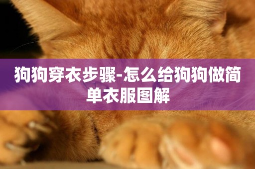 狗狗穿衣步驟-怎么給狗狗做簡單衣服圖解