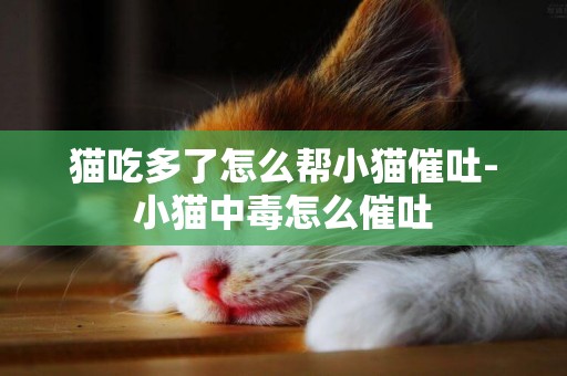 貓吃多了怎么幫小貓催吐-小貓中毒怎么催吐