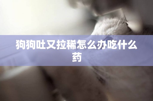 狗狗吐又拉稀怎么辦吃什么藥