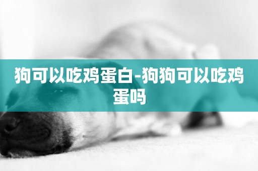 狗可以吃雞蛋白-狗狗可以吃雞蛋嗎