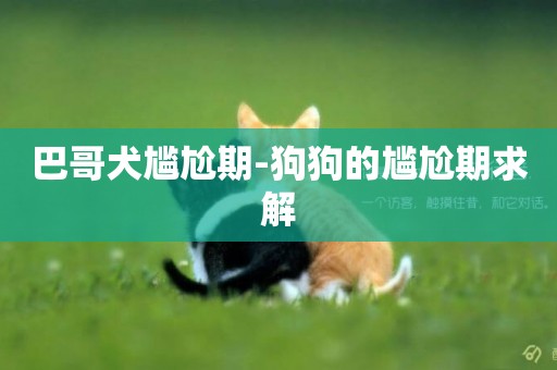 巴哥犬尷尬期-狗狗的尷尬期求解
