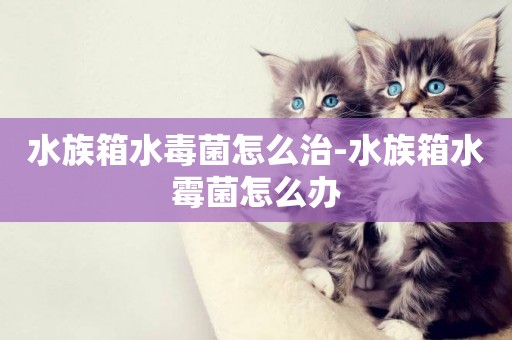 水族箱水毒菌怎么治-水族箱水霉菌怎么辦