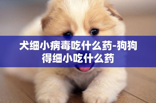 犬細小病毒吃什么藥-狗狗得細小吃什么藥