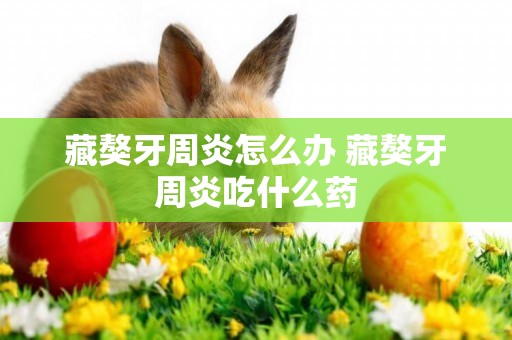 藏獒牙周炎怎么辦 藏獒牙周炎吃什么藥