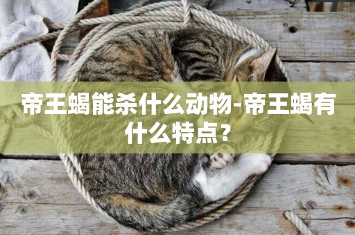 帝王蝎能殺什么動物-帝王蝎有什么特點？