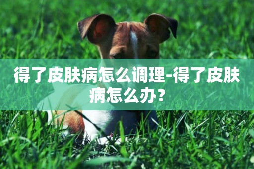 得了皮膚病怎么調理-得了皮膚病怎么辦？