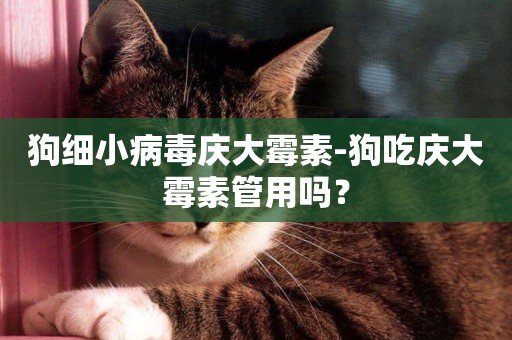 狗細小病毒慶大霉素-狗吃慶大霉素管用嗎？