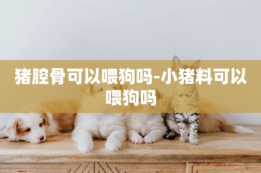 豬腔骨可以喂狗嗎-小豬料可以喂狗嗎