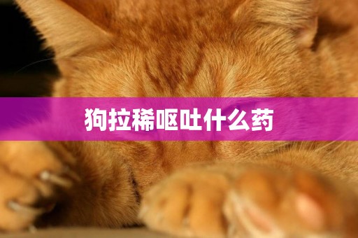 狗拉稀嘔吐什么藥