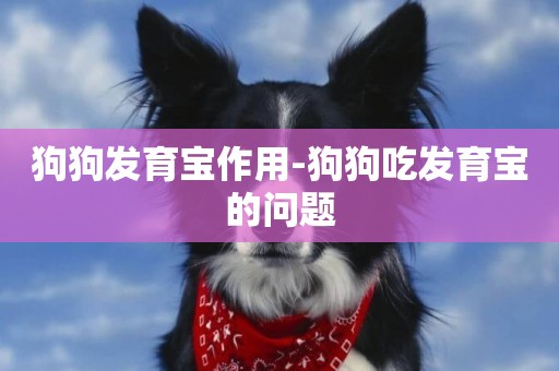 狗狗發育寶作用-狗狗吃發育寶的問題
