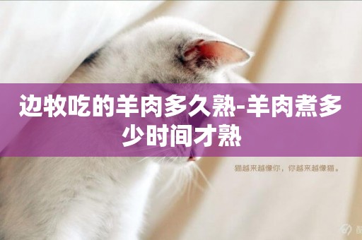 邊牧吃的羊肉多久熟-羊肉煮多少時間才熟