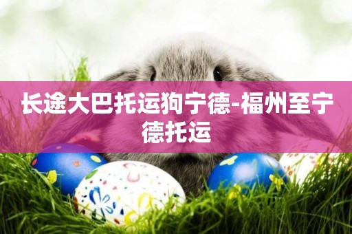 長途大巴托運狗寧德-福州至寧德托運