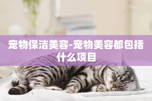 寵物保潔美容-寵物美容都包括什么項目
