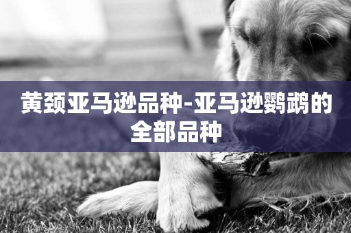 黃頸亞馬遜品種-亞馬遜鸚鵡的全部品種