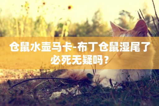 倉鼠水壺馬卡-布丁倉鼠濕尾了必死無疑嗎？