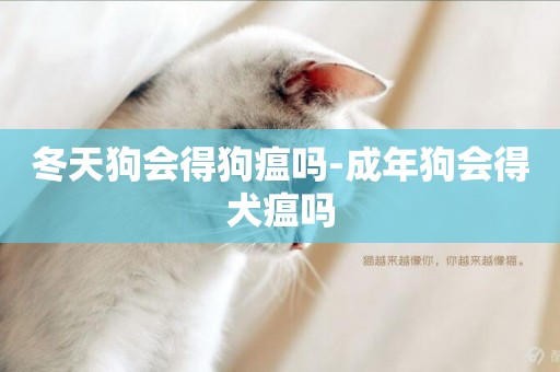 冬天狗會得狗瘟嗎-成年狗會得犬瘟嗎