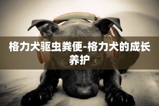 格力犬驅蟲糞便-格力犬的成長養護