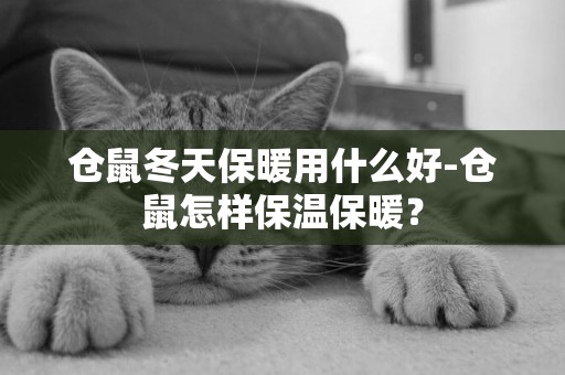 倉鼠冬天保暖用什么好-倉鼠怎樣保溫保暖？