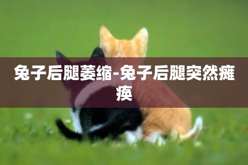 兔子后腿萎縮-兔子后腿突然癱瘓