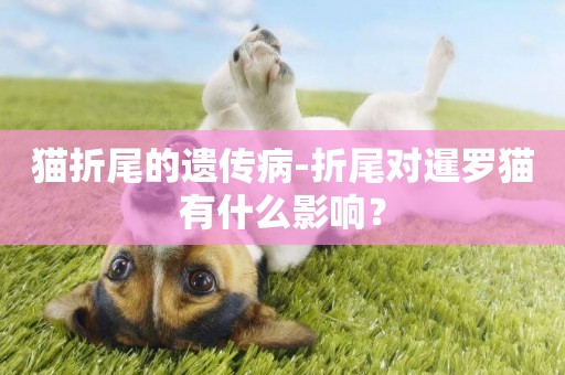 貓折尾的遺傳病-折尾對暹羅貓有什么影響？