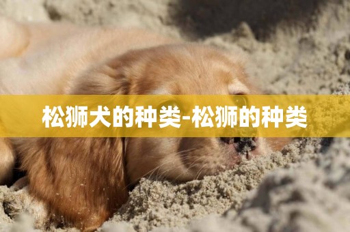 松獅犬的種類-松獅的種類