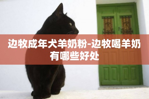 邊牧成年犬羊奶粉-邊牧喝羊奶有哪些好處