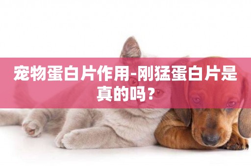寵物蛋白片作用-剛猛蛋白片是真的嗎？