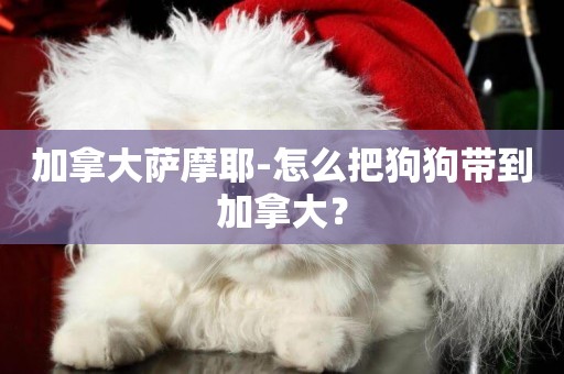 加拿大薩摩耶-怎么把狗狗帶到加拿大？