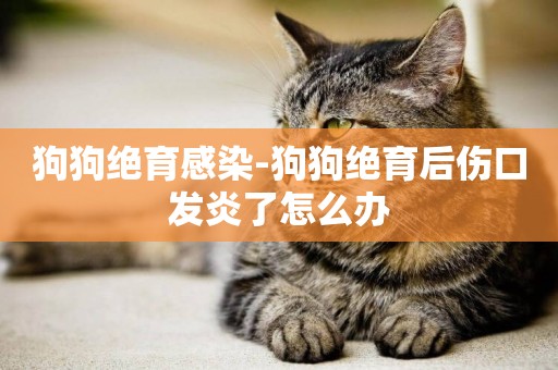 狗狗絕育感染-狗狗絕育后傷口發炎了怎么辦