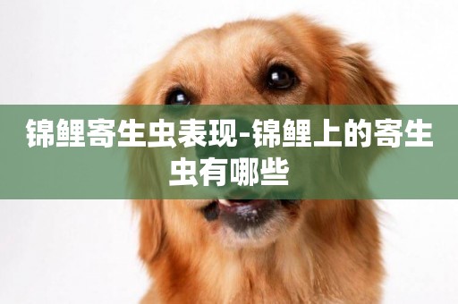 錦鯉寄生蟲表現-錦鯉上的寄生蟲有哪些