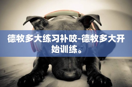 德牧多大練習補咬-德牧多大開始訓練。