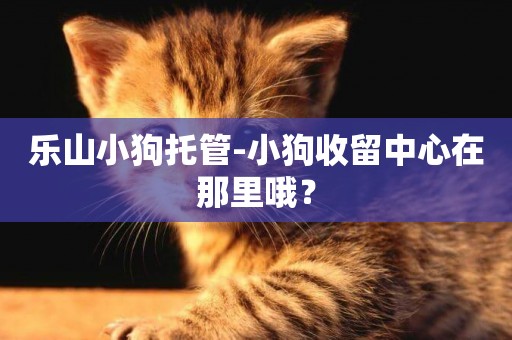 樂山小狗托管-小狗收留中心在那里哦？