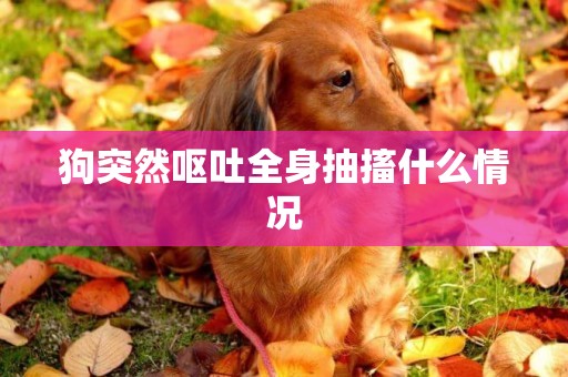 狗突然嘔吐全身抽搐什么情況