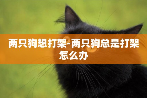 兩只狗想打架-兩只狗總是打架怎么辦