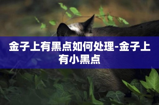 金子上有黑點如何處理-金子上有小黑點