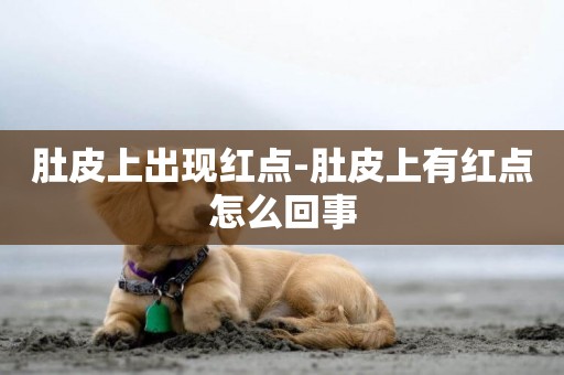 肚皮上出現紅點-肚皮上有紅點怎么回事