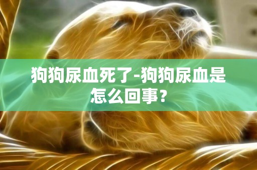 狗狗尿血死了-狗狗尿血是怎么回事？