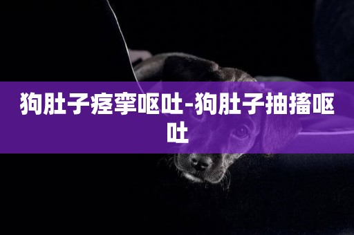 狗肚子痙攣嘔吐-狗肚子抽搐嘔吐
