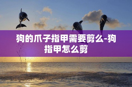 狗的爪子指甲需要剪么-狗指甲怎么剪