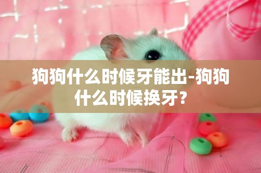 狗狗什么時候牙能出-狗狗什么時候換牙？