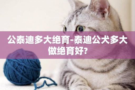公泰迪多大絕育-泰迪公犬多大做絕育好?