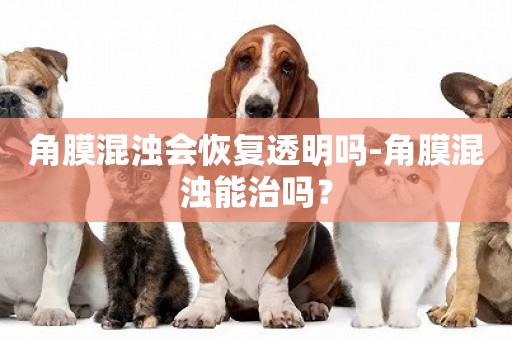 角膜混濁會恢復透明嗎-角膜混濁能治嗎？
