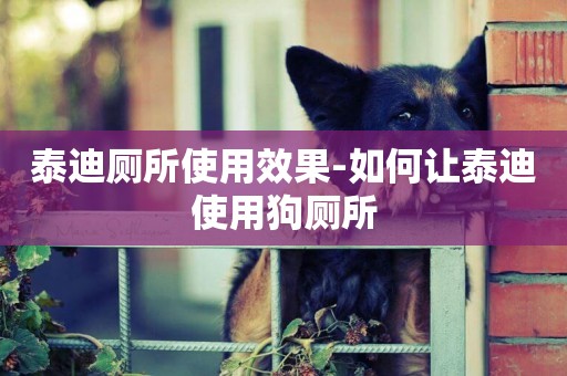泰迪廁所使用效果-如何讓泰迪使用狗廁所