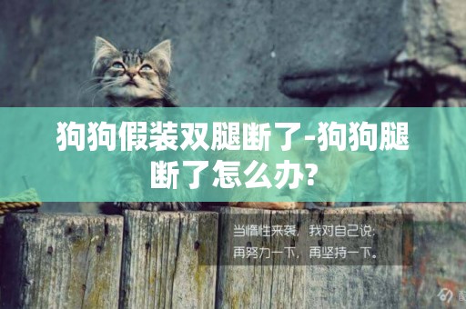 狗狗假裝雙腿斷了-狗狗腿斷了怎么辦?