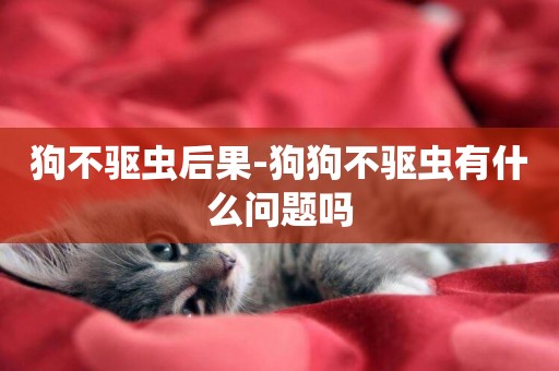 狗不驅蟲后果-狗狗不驅蟲有什么問題嗎