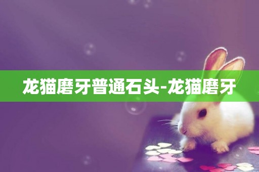 龍貓磨牙普通石頭-龍貓磨牙