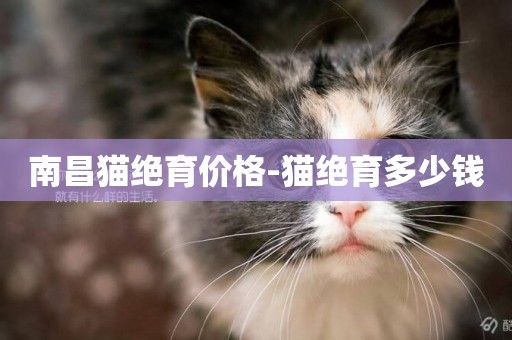 南昌貓絕育價格-貓絕育多少錢