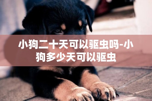 小狗二十天可以驅蟲嗎-小狗多少天可以驅蟲
