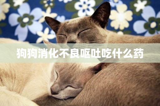 狗狗消化不良嘔吐吃什么藥